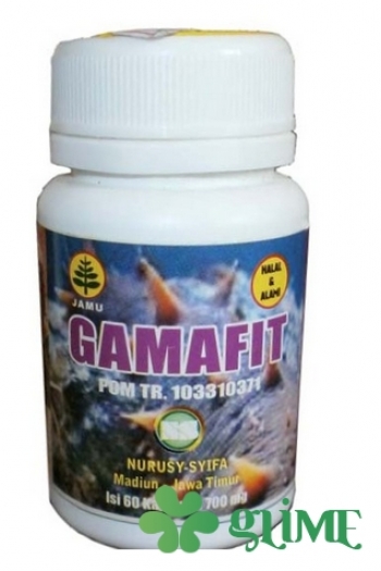 Gamafit
